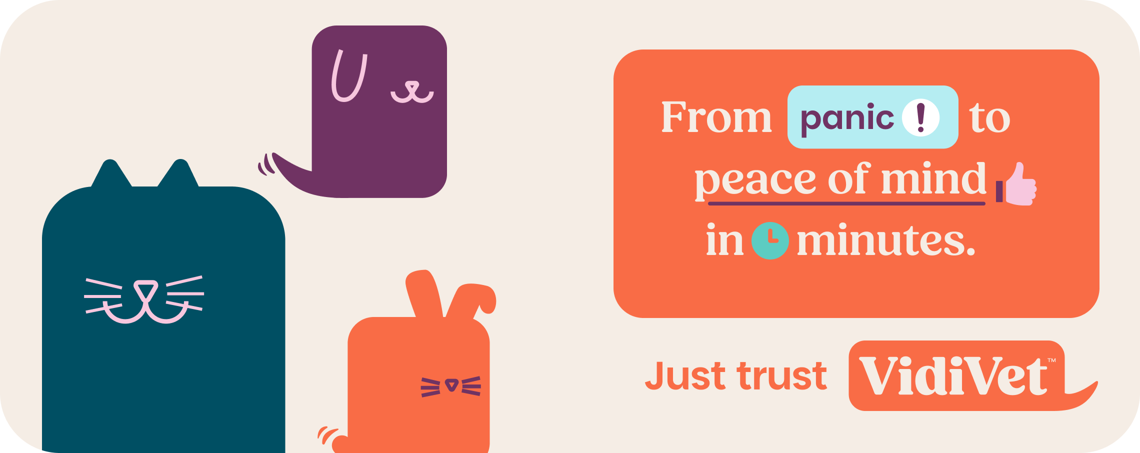 VidiVet peace of mind